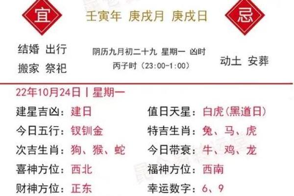 今日运势分析,生肖如何应对各种挑战? 今日运势分析,生肖如何应对各种挑战?