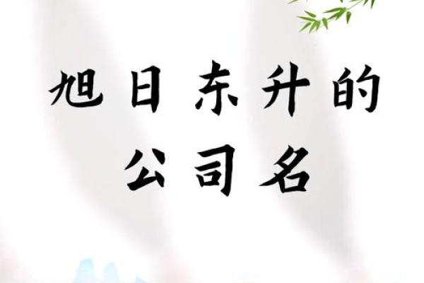如何为米业有限公司起一个独特且富有吸引力的名字 如何为米业有限公司起一个独特且富有吸引力的名字