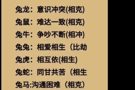 属兔与属马的缘分，是否注定美满