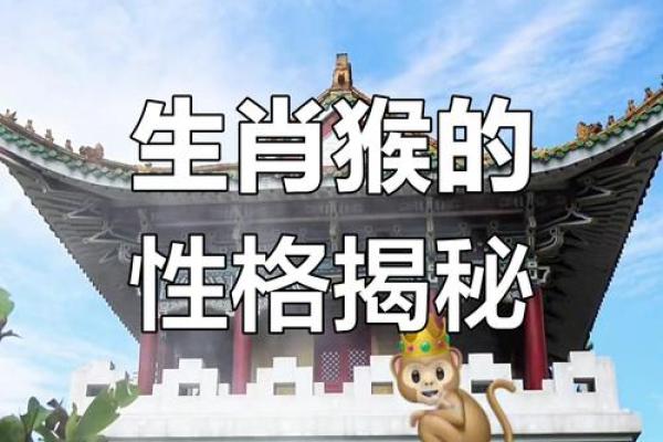 揭秘属猴女和属马男的性格契合度 揭秘属猴女和属马男的性格契合度
