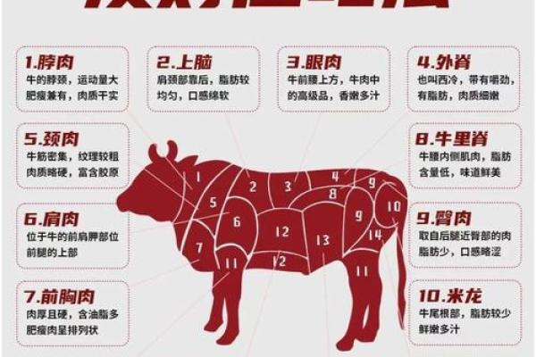 本命年牛女如何在团队中占据重要位置 本命年牛女如何在团队中占据重要位置