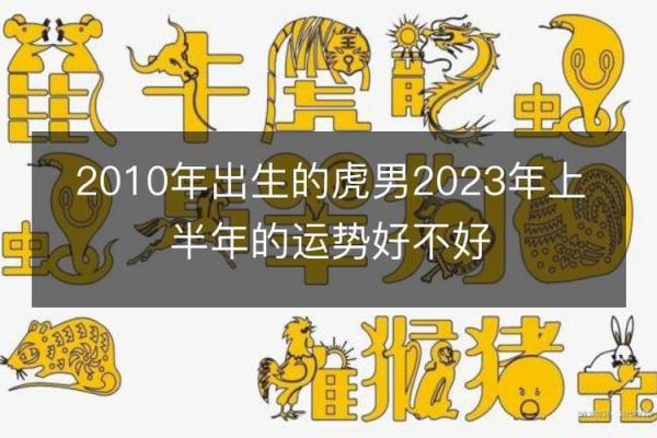 羊年虎人事业财运运势预测 羊年虎人事业财运运势预测