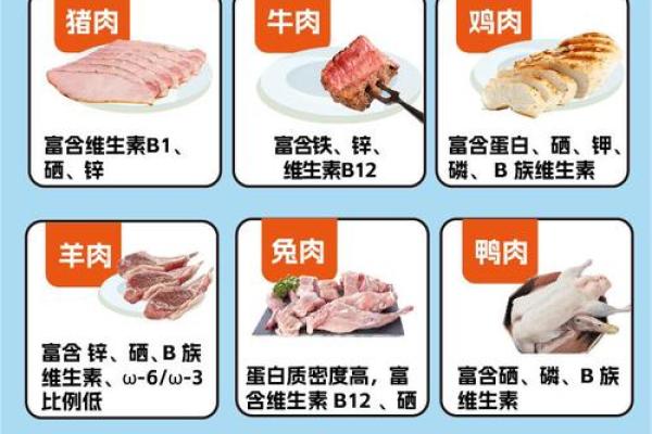 猪和鸡的搭配究竟合适吗 动物间的共存之道 猪和鸡的搭配究竟合适吗 动物间的共存之道