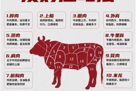 本命年牛女如何在团队中占据重要位置