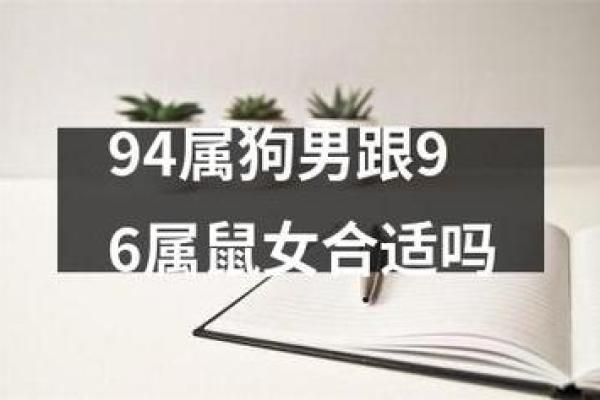 女属狗和男属鼠的婚配缘分如何揭秘 女属狗和男属鼠的婚配缘分如何揭秘