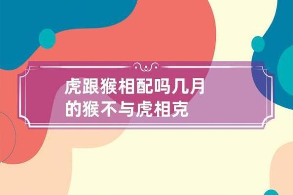 属鼠与属猴合适吗?深入解析两者的配对情况 属鼠与属猴合适吗?深入解析两者的配对情况