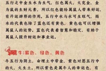 本命年鼠男的财运大起大落解析