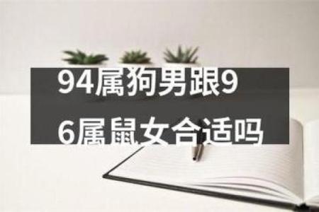 女属狗和男属鼠的婚配缘分如何揭秘