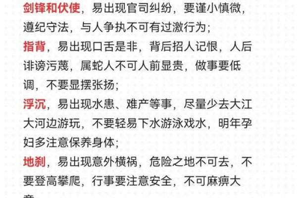 风水蛇的吉凶与摆放禁忌解析