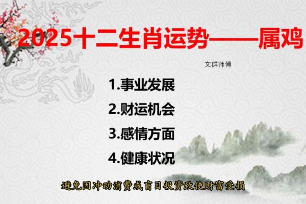 如何根据鸡运程调整生活和工作策略 如何根据鸡运程调整生活和工作策略