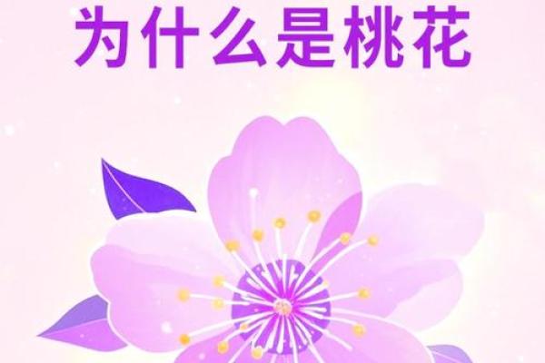八字看桃花运:如何借助命理提升婚姻运 八字看桃花运:如何借助命理提升婚姻运