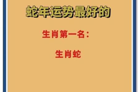 属蛇运程预测：年运吉凶及调整方法