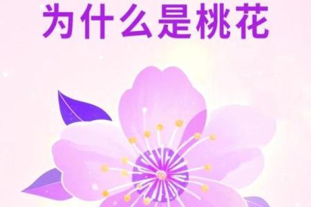 八字看桃花运：如何借助命理提升婚姻运