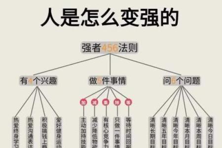 给别人分析八字，如何轻松揭示人生的成功与挑战