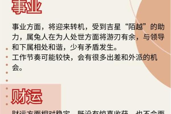 属兔人如何在应对感情运的挑战 属兔人如何在应对感情运的挑战