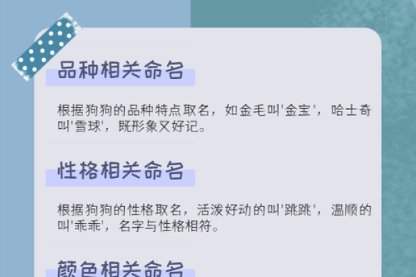 如何根据狗狗性格为它挑选一个独特名字 如何根据狗狗性格为它挑选一个独特名字