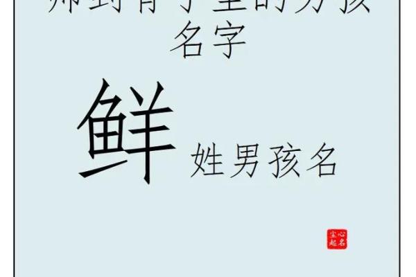 晏姓猪年宝宝起名建议与注意事项 晏姓猪年宝宝起名建议与注意事项