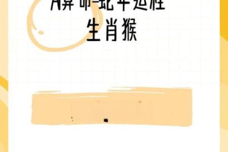 六八年出生属猴的运势详解