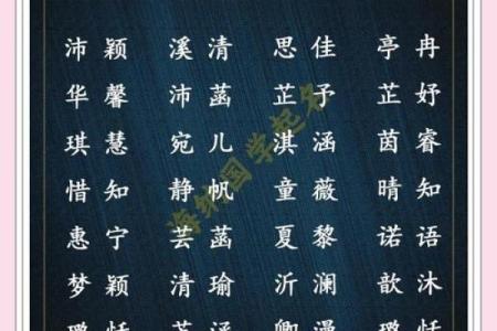 为申姓女宝宝起个独特而有意义的名字技巧解析