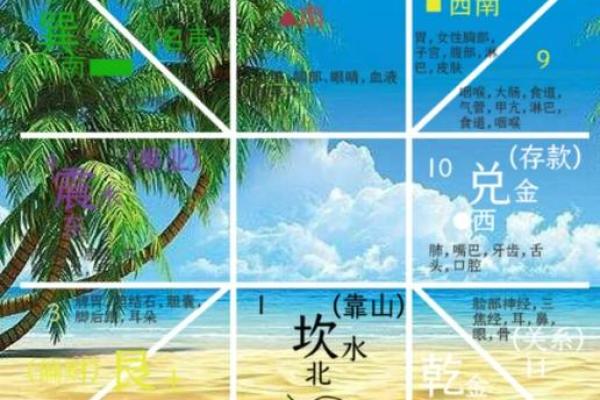 探索人每月运势变化 探索人每月运势变化