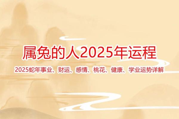 属兔人运程预测:事业与感情的关键时刻 属兔人运程预测:事业与感情的关键时刻