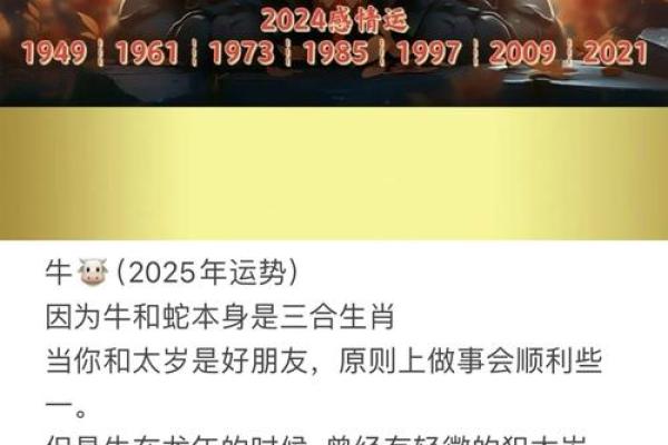 牛人事业运势：挑战与突破