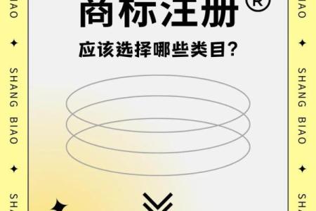 自由起名的健身公司打造个性化品牌