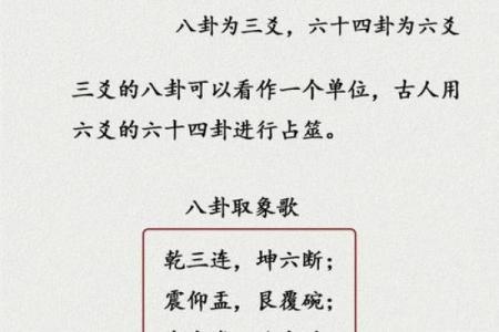 卦理命理风水师：揭示命运奥秘与空间能量的智慧
