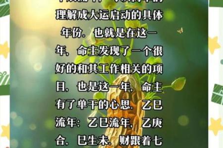 算一生运程：如何通过命理预测未来发展