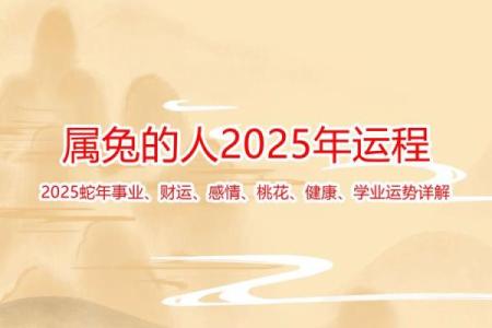 属兔人运程预测：事业与感情的关键时刻