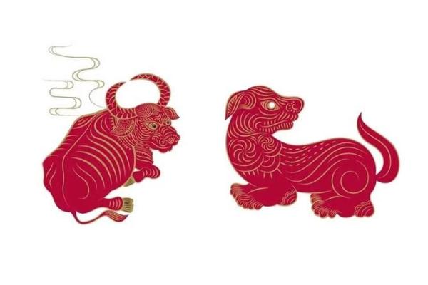 牛兔相配的优缺点分析,适合长期相处吗 牛兔相配的优缺点分析,适合长期相处吗