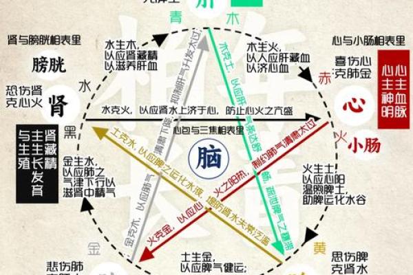 揭秘五行与调料搭配的奥秘,提升你的生活质量 揭秘五行与调料搭配的奥秘,提升你的生活质量