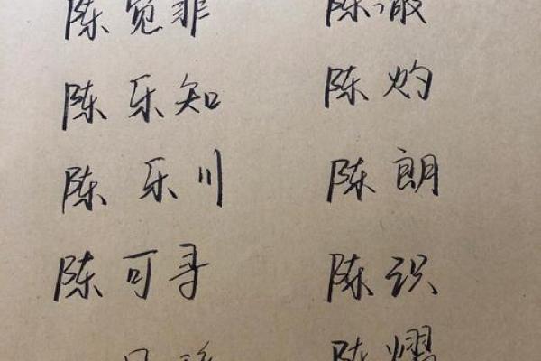 如何为陈姓男孩起个独特又有意义的名字 如何为陈姓男孩起个独特又有意义的名字