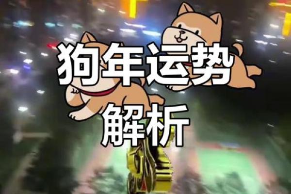 今日属狗人运势详解:小心意外,防止压力过大 今日属狗人运势详解:小心意外,防止压力过大