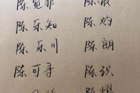 如何为陈姓男孩起个独特又有意义的名字