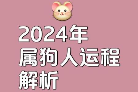 今日属狗人运势详解：小心意外，防止压力过大
