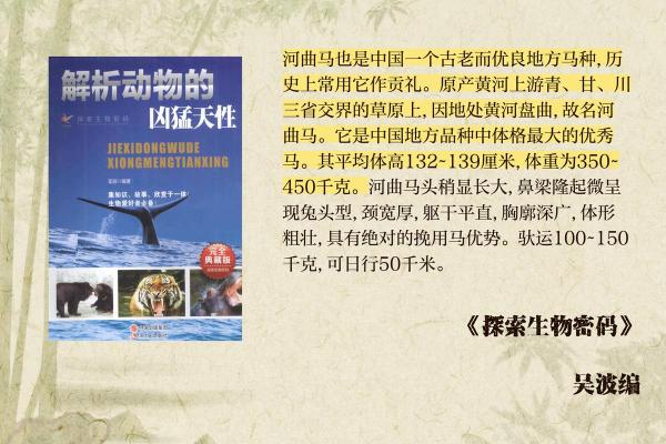 探索不同国家的马匹命名习俗 探索不同国家的马匹命名习俗