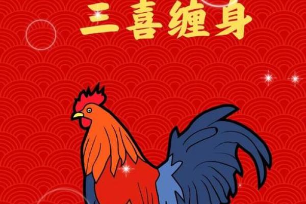 属鸡的本命年如何带来更多的好运 属鸡的本命年如何带来更多的好运