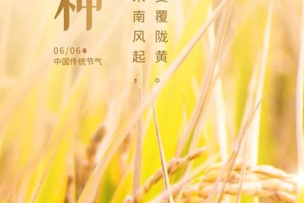 农历八月二十六,这一天的节令与农事紧密相关 农历八月二十六,这一天的节令与农事紧密相关