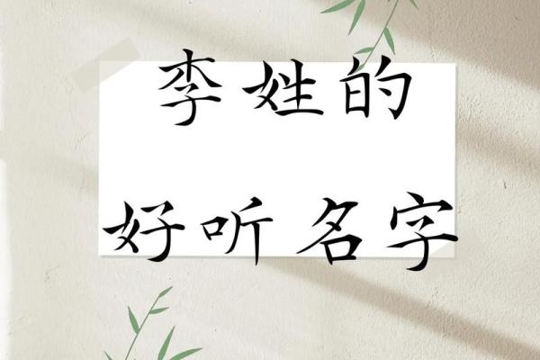 独特又有意义的李姓男孩名字推荐 独特又有意义的李姓男孩名字推荐