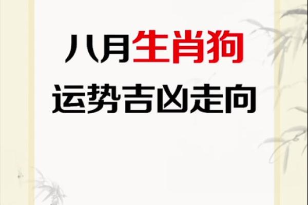 属狗的朋友必看!运程吉凶预测 属狗的朋友必看!运程吉凶预测