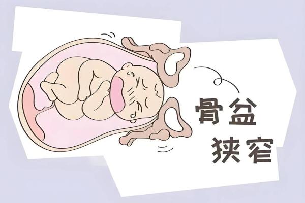孕期家居风水调整技巧助力健康顺利分娩 孕期家居风水调整技巧助力健康顺利分娩