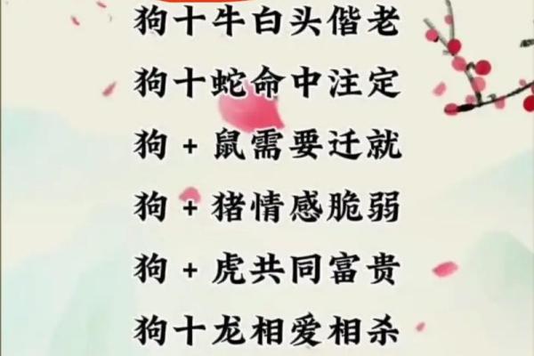 属马女和属马男婚配是否理想?分析两者的缘分与契合度 属马女和属马男婚配是否理想?分析两者的缘分与契合度