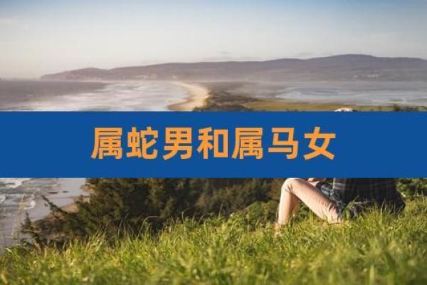 属马女和属马男婚配是否理想?分析两者的缘分与契合度 属马女和属马男婚配是否理想?分析两者的缘分与契合度