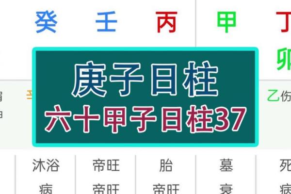 甲子日柱适合的婚姻伴侣类型 甲子日柱适合的婚姻伴侣类型