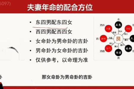 凶星照命的含义与影响解析