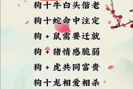 属马女和属马男婚配是否理想？分析两者的缘分与契合度