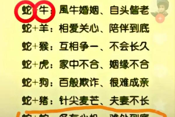 蛇兔生肖配对:理智与活力的结合 蛇兔生肖配对:理智与活力的结合