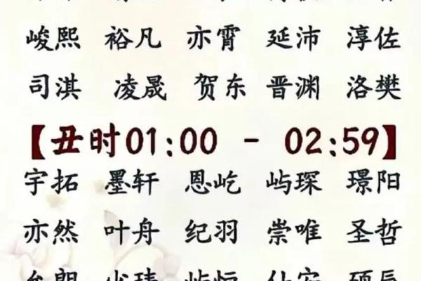 流行宝宝名字解析:最受欢迎的姓名趋势 流行宝宝名字解析:最受欢迎的姓名趋势