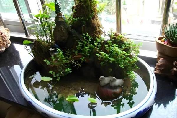 优化家居风水布局的十大必知要点 优化家居风水布局的十大必知要点